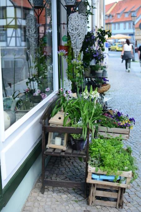 Schoene Ferienwohnung Mit Zwei Schlafzimmern Quedlinburg Dış mekan fotoğraf